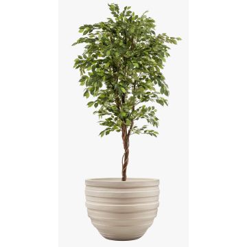 Konstgjord Ficus Benjamini BARTOLO, äkta stam, grön, 200cm Konstgjord Ficus Benjamini BARTOLO, äkta stam, grön, 200cm