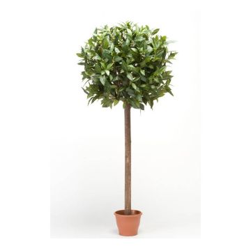 Konstgjord körsbärslaverkula DRODY, äkta stam, frukter, 150cm