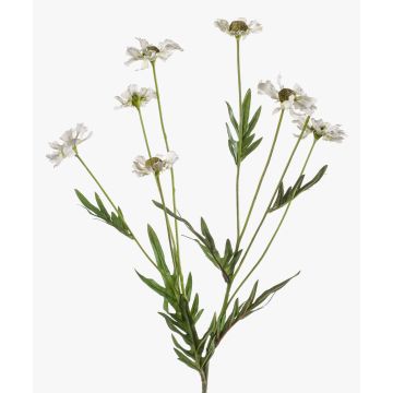 Konstgjord prästkrage LASAI, vit-grön, 80cm, Ø4-5cm