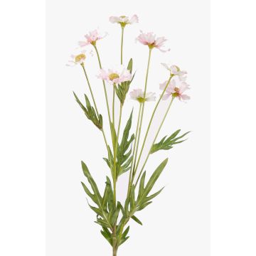 Konstgjord blomma prästkrage LASAI, rosa-vit, 80cm, Ø4-5cm Konstgjord blomma prästkrage LASAI, rosa-vit, 80cm, Ø4-5cm