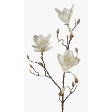 Konstgjord magnolia MALVAO, krämfärgad, 90cm, Ø10-12cm Konstgjord magnolia MALVAO, krämfärgad, 90cm, Ø10-12cm