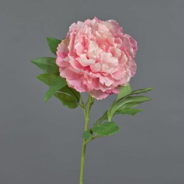 Konstgjord pion DIVIN, rosa, 65cm, Ø15cm