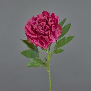 Konstgjord blomma, pion DIVIN, cerise, 65cm, Ø15cm Konstgjord blomma, pion DIVIN, cerise, 65cm, Ø15cm