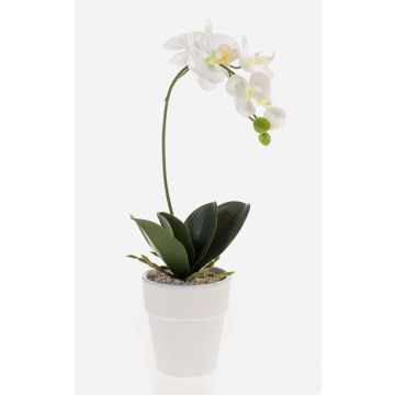 Konstgjord Phalaenopsis-orkidé ISIS, keramikkruka, vit, 40cm