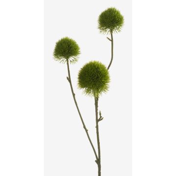 Konstgjord blomma, edeldistel BRANCO, grön, 60cm, Ø5-6cm