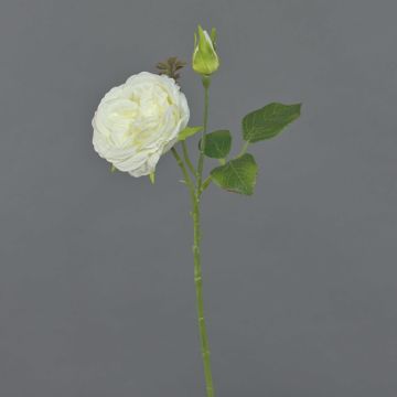 Plastros CESCA, krämfärgad, 40cm, Ø9cm Plastros CESCA, krämfärgad, 40cm, Ø9cm