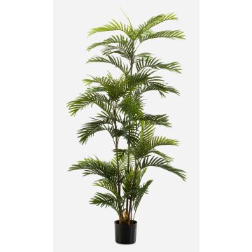 Konstgjord palm Areca FEDERICO, 180cm