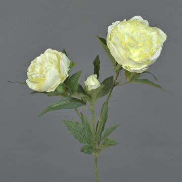 Konstpion MISTI, krämfärgad, 70cm, Ø8-12cm