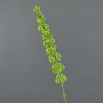 Konstgjord blomma irländsk klocka SIERA, grön, 80cm, Ø7cm Konstgjord blomma irländsk klocka SIERA, grön, 80cm, Ø7cm