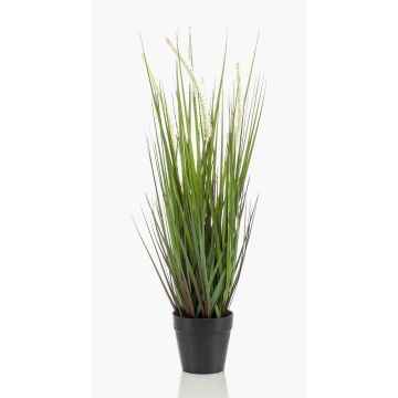 Konstgjort dekorgräs, rävsvansgräs OTIS med ax, grönt, 55cm Konstgjort dekorgräs, rävsvansgräs OTIS med ax, grönt, 55cm