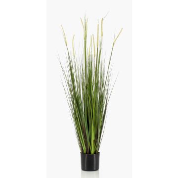 Konstgjort dekorgräs, rävsvansgräs OTIS med ax, grönt, 120cm Konstgjort dekorgräs, rävsvansgräs OTIS med ax, grönt, 120cm
