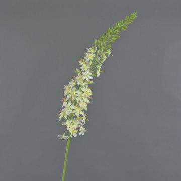 Stor konstblomma, stäppljus SELINA, krämfärgad, 105cm, Ø9cm Stor konstblomma, stäppljus SELINA, krämfärgad, 105cm, Ø9cm