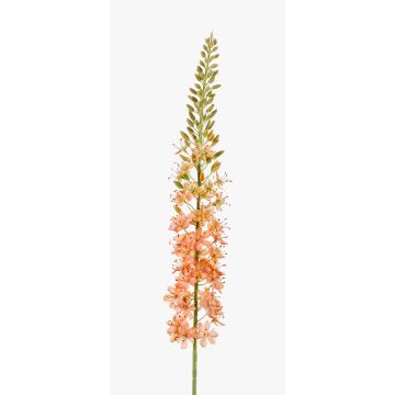 Stor konstgjord blomma, stäppljus SELINA, rosa-krämfärgad, 105cm, Ø9cm Stor konstgjord blomma, stäppljus SELINA, rosa-krämfärgad, 105cm, Ø9cm
