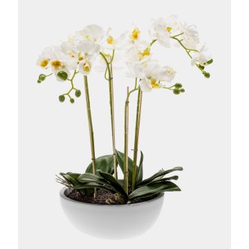 Konstgjord Phalaenopsis-orkidé MINA i keramikkruka, vit, 60cm