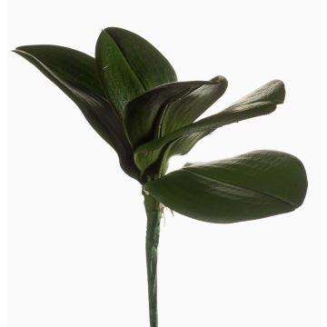 Konstgjorda blad från Phalaenopsis-orkidé NIUT, luftrötter, 25cm Konstgjorda blad från Phalaenopsis-orkidé NIUT, luftrötter, 25cm