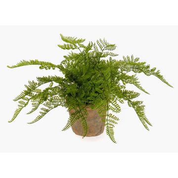 Konstväxt, ormbunke (MELLEA) i terrakottakruka, grön, 25cm