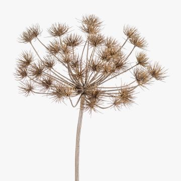 Stor konstblomma björnklöver EVANDRO, grå, 125cm Stor konstblomma björnklöver EVANDRO, grå, 125cm
