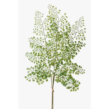 Dekorativt blad, kvinnosvansfarn HALIMA, grönt, 60cm