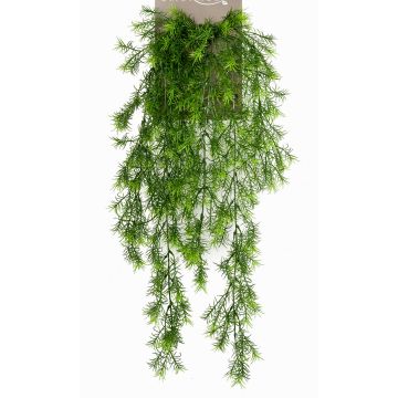 Konstgjord hängväxt Asparagus sprengeri COLE, på stödpinne, 75cm