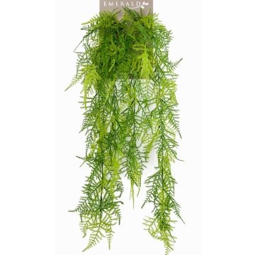 Konstgjord hängväxt Asparagus plumosus COLE, på stödpinne, 80cm Konstgjord hängväxt Asparagus plumosus COLE, på stödpinne, 80cm