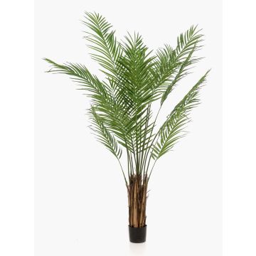 Konstgjord arecapalm CUZCO, 180cm Konstgjord arecapalm CUZCO, 180cm