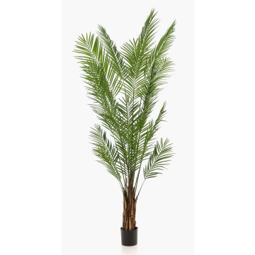 Konstgjord arecapalm CUZCO, 240cm Konstgjord arecapalm CUZCO, 240cm