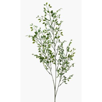 Konstgjord buxbomskvist ARICA, 75cm Konstgjord buxbomskvist ARICA, 75cm