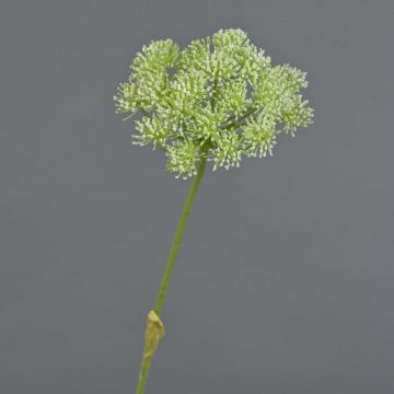 Konstblomma björnklöver EVERALDO, vit, 80cm, Ø16cm Konstblomma björnklöver EVERALDO, vit, 80cm, Ø16cm
