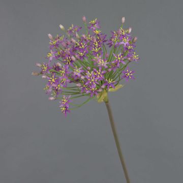 Konstgjord alliumblomma BRAIS, violett, 90cm, Ø24cm Konstgjord alliumblomma BRAIS, violett, 90cm, Ø24cm