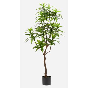 Konstgjord träd Dracaena Reflexa Jamaica OSAKA, grön, 130cm