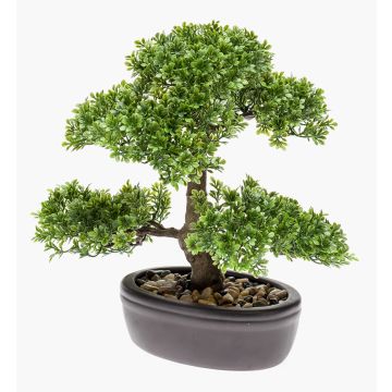 Konstgjord bonsai Ficus HESPER i skål, 30cm Konstgjord bonsai Ficus HESPER i skål, 30cm