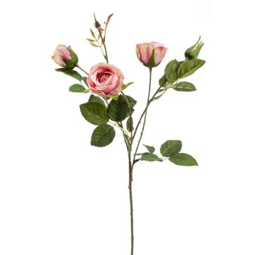 Dekorativ gren, ros SYLVANA, rosa-krämfärgad, 60cm, Ø3-5,5cm Dekorativ gren, ros SYLVANA, rosa-krämfärgad, 60cm, Ø3-5,5cm
