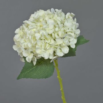 Konstgjord hortensia EGIA, krämfärgad, 50cm, Ø16cm Konstgjord hortensia EGIA, krämfärgad, 50cm, Ø16cm
