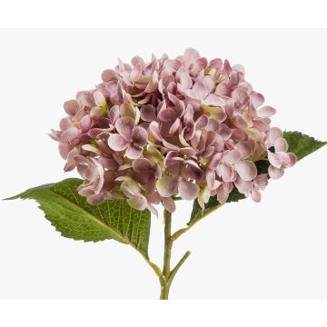 Konstgjord hortensia EGIA, rosa, 50cm, Ø16cm Konstgjord hortensia EGIA, rosa, 50cm, Ø16cm