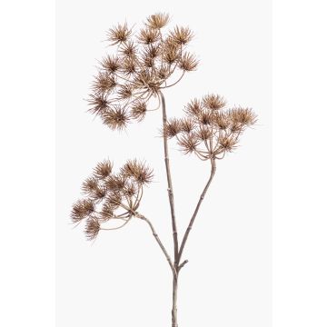Stor konstgjord blomma, björnklöver BELMIRO, brun, 100cm, Ø13-15cm Stor konstgjord blomma, björnklöver BELMIRO, brun, 100cm, Ø13-15cm