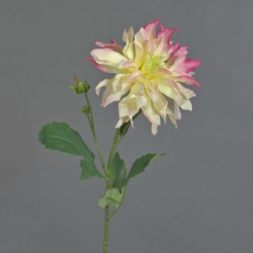 Konstblomma, dahlia CINTHIA, cerise-rosa-krämfärgad, 60cm, Ø16cm Konstblomma, dahlia CINTHIA, cerise-rosa-krämfärgad, 60cm, Ø16cm
