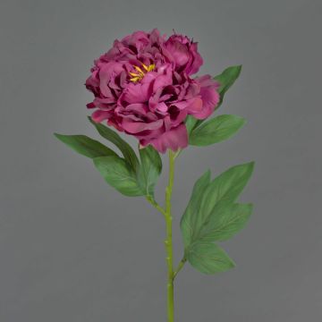 Konstgjord pion MARILOU, violett, 80cm, Ø14cm Konstgjord pion MARILOU, violett, 80cm, Ø14cm