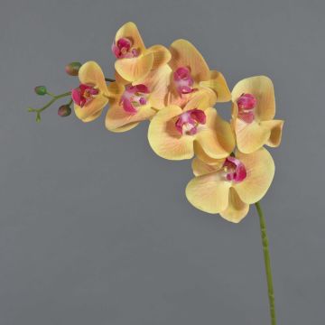 Konstgjord Phalaenopsis-orkidégren NEITH, orange-cerise, 75cm, Ø7-10,5cm Konstgjord Phalaenopsis-orkidégren NEITH, orange-cerise, 75cm, Ø7-10,5cm