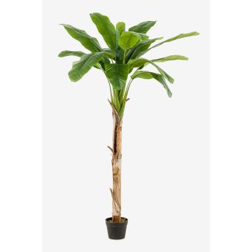 Konstgjord bananträd BAGHEERA, 180cm