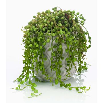 Konstgjord suckulent Senecio PIURA i cementkruka, grön, 15cm