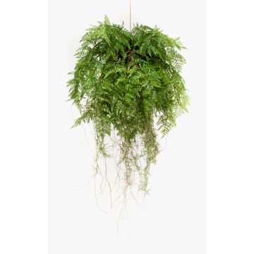 Konstfarn Bostonfarn hängande blomkruka NILO, jordklot, rötter, 75cm, Ø55cm