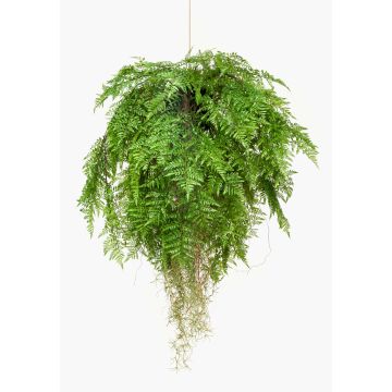 Konstfarn, Bostonfarn, blomhängare NILO, jordklump, rötter, 100cm, Ø80cm Konstfarn, Bostonfarn, blomhängare NILO, jordklump, rötter, 100cm, Ø80cm