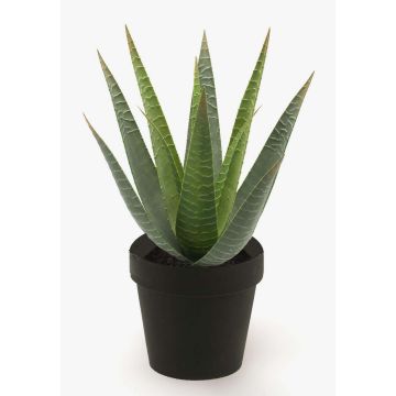 Konstgjord suckulent Aloe Variegata MARTINEZ, grön, 25cm, Ø17cm