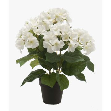 Konstväxt hortensia JONE, krämfärgad, 40cm Konstväxt hortensia JONE, krämfärgad, 40cm