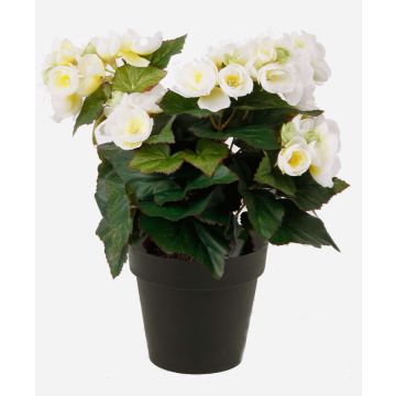 Konstgjord blomma, begonia DOBRADA, krämfärgad, 30cm, Ø8-10cm Konstgjord blomma, begonia DOBRADA, krämfärgad, 30cm, Ø8-10cm