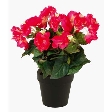 Konstgjord blomma, begonia DOBRADA, cerise, 30cm, Ø8-10cm Konstgjord blomma, begonia DOBRADA, cerise, 30cm, Ø8-10cm