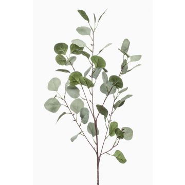Konstgjord eukalyptusgren COLTON, grågrön, 85cm