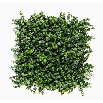 Konstväxtmatta / häck eukalyptus JASE, crossdoor, grön, 50x50cm