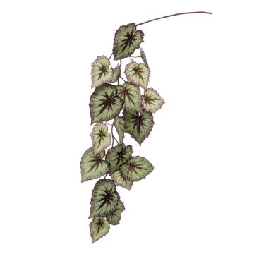 Konstgjord kvist bladbegonia MEIRA, grön-violett, 110cm Konstgjord kvist bladbegonia MEIRA, grön-violett, 110cm