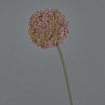 Konstgjord allium BOUTROS, lila-grön, 75cm, Ø9cm Konstgjord allium BOUTROS, lila-grön, 75cm, Ø9cm